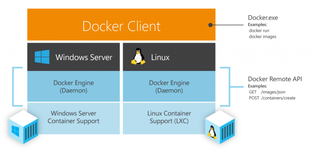 Dockerwithwindowssrvandlinux