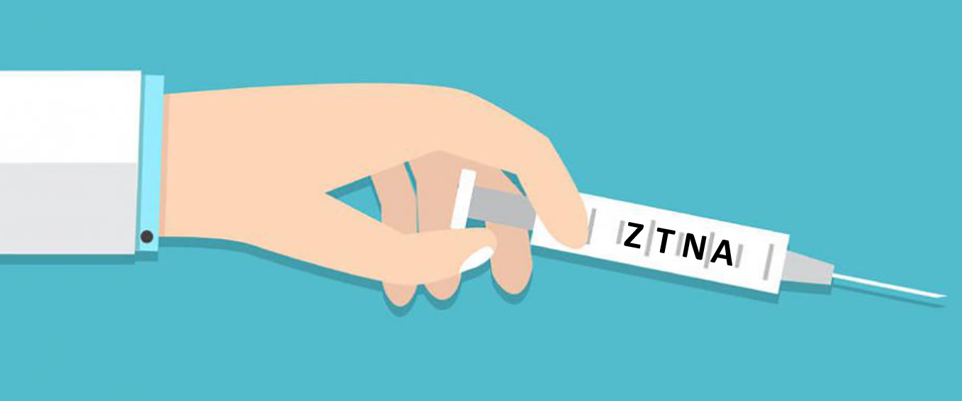 Ztna epidemie virale